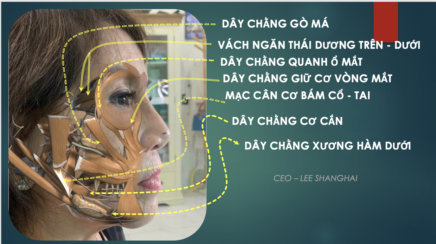 Ảnh màn hình 2026-02-06 lúc 19.20.34